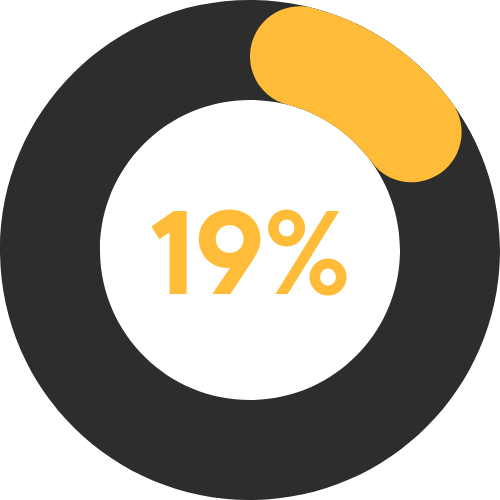 19%